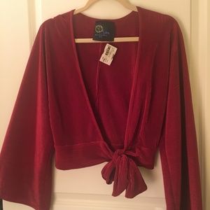 Planet Blue (Blue Life) Cropped Shirt